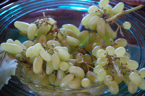 Bild zu Teresa von Avila